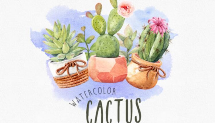 عکس png کاکتوس های آبرنگی   Watercolor Cactus Pot