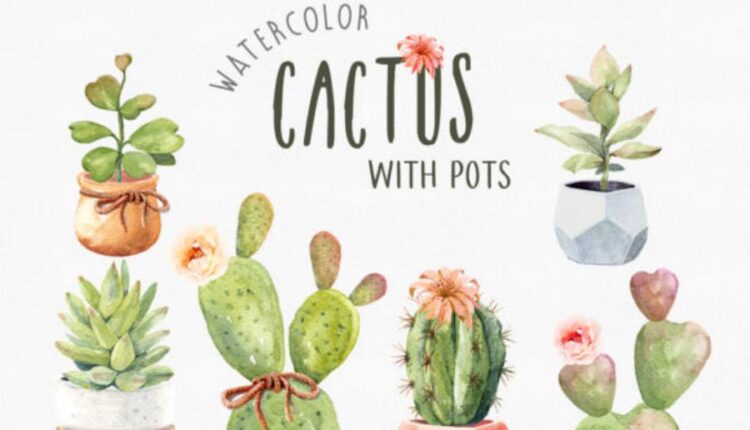 عکس png کاکتوس های آبرنگی   Watercolor Cactus Pot
