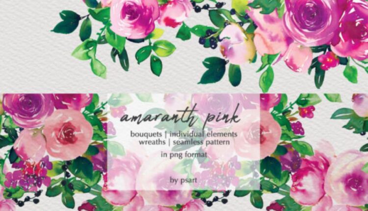 تصاویر png آبرنگی گل های صورتی بهاری   Watercolor Pink Floral