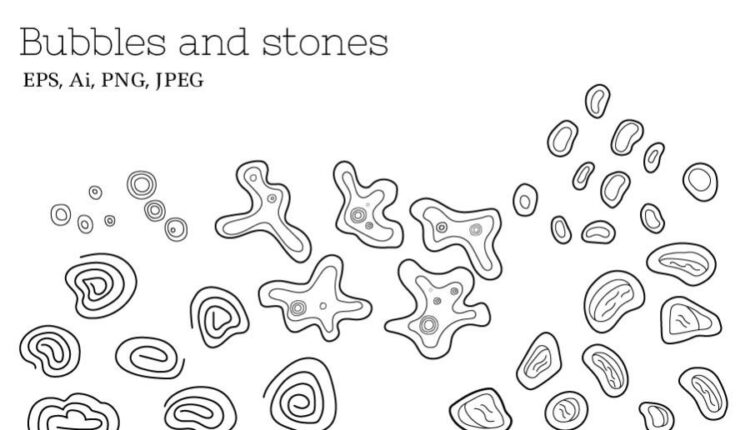 مجموعه کلیپ آرت موجودات دریایی   Zenart Vector Sea