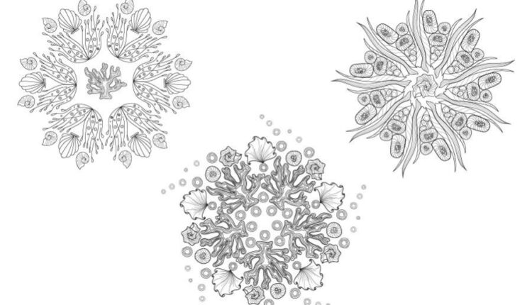 مجموعه کلیپ آرت موجودات دریایی   Zenart Vector Sea