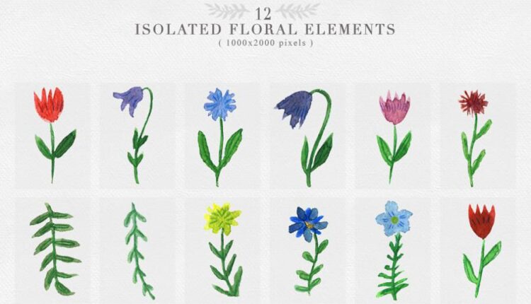 مجموعه کلیپ آرت حیوانات اهلی با طرح آبرنگی   Animals Watercolor