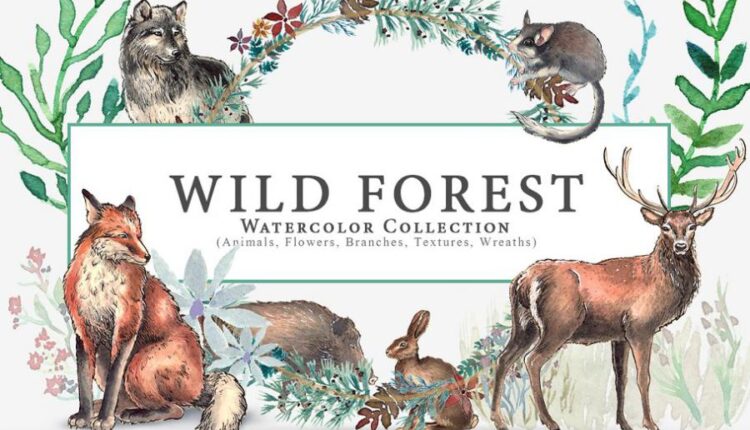 مجموعه کلیپ آرت عناصر طراحی جنگل   Wild Forest Watercolor