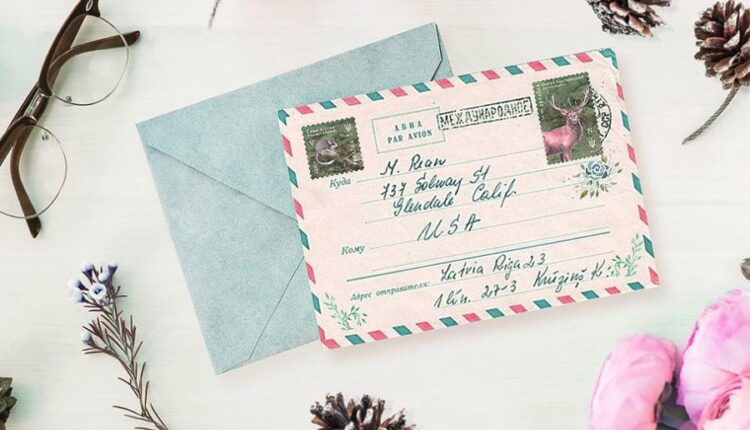 مجموعه کلیپ آرت عناصر طراحی جنگل   Wild Forest Watercolor