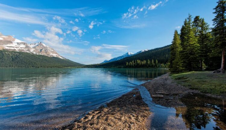 سری شصت و سوم والپیپر برای کامپیوتر   Beautiful Wallpapers