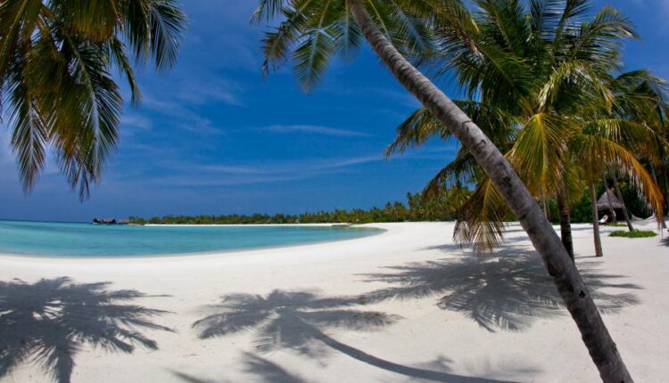 سری شصت و سوم والپیپر برای کامپیوتر   Beautiful Wallpapers