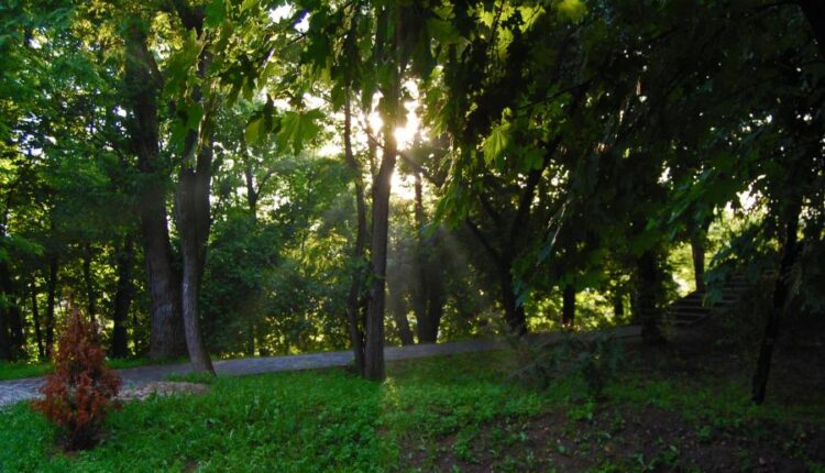 سری شصت و سوم والپیپر برای کامپیوتر   Beautiful Wallpapers