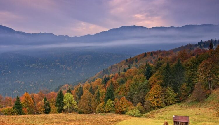 سری شصت و سوم والپیپر برای کامپیوتر   Beautiful Wallpapers