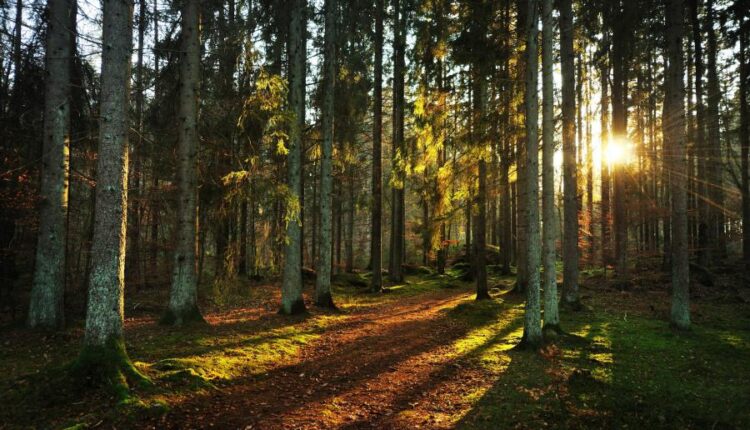 سری شصت و سوم والپیپر برای کامپیوتر   Beautiful Wallpapers