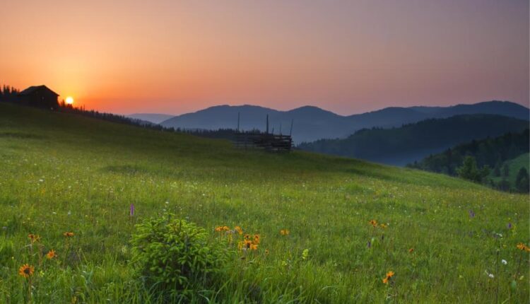 سری شصت و سوم والپیپر برای کامپیوتر   Beautiful Wallpapers