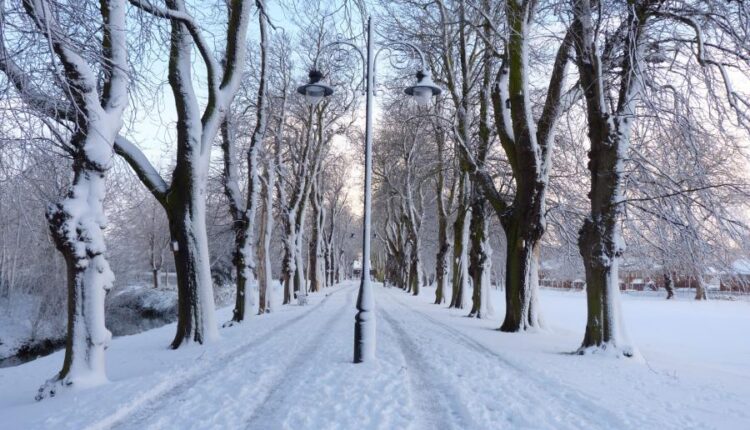 سری شصت و سوم والپیپر برای کامپیوتر   Beautiful Wallpapers