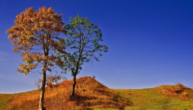 سری شصت و سوم والپیپر برای کامپیوتر   Beautiful Wallpapers