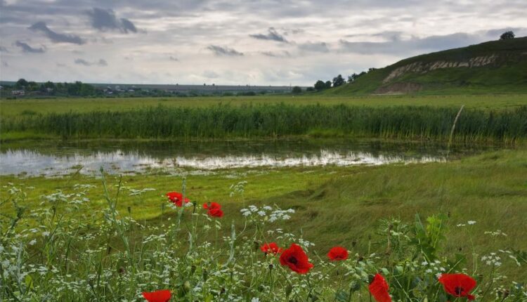 سری شصت و سوم والپیپر برای کامپیوتر   Beautiful Wallpapers