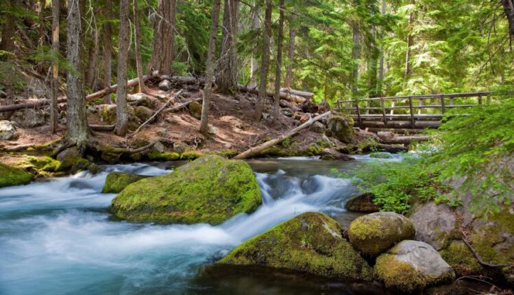 سری شصت و سوم والپیپر برای کامپیوتر   Beautiful Wallpapers