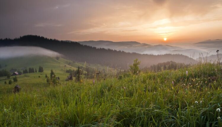 سری شصت و سوم والپیپر برای کامپیوتر   Beautiful Wallpapers