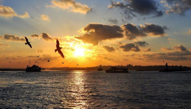 سری شصت و سوم والپیپر برای کامپیوتر   Beautiful Wallpapers