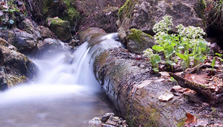 سری شصت و سوم والپیپر برای کامپیوتر   Beautiful Wallpapers