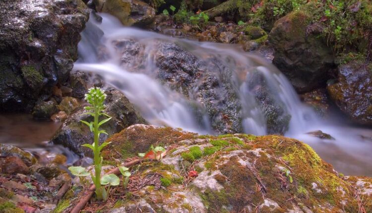 سری شصت و سوم والپیپر برای کامپیوتر   Beautiful Wallpapers