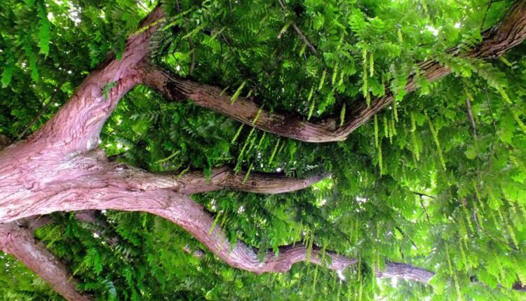 سری شصت و سوم والپیپر برای کامپیوتر   Beautiful Wallpapers