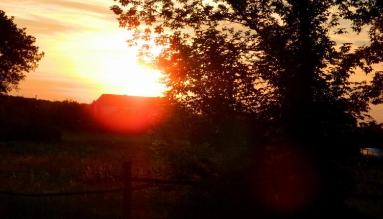 سری شصت و سوم والپیپر برای کامپیوتر   Beautiful Wallpapers