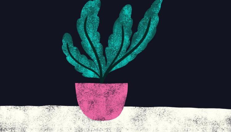 71 براش متنوع بسیار جذاب برای نرم افزار پروکریت   Procreate Brush