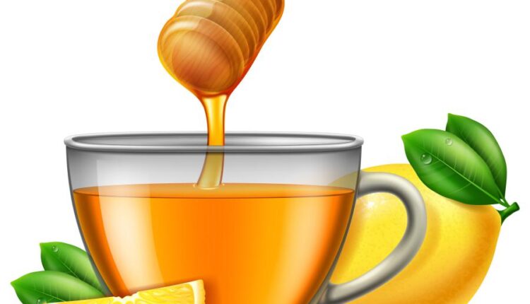 16 وکتور سه بعدی عسل و زنبور عسل   Bee & Honey Vector