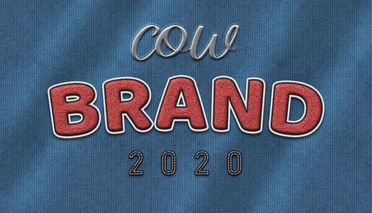 افکت نوشته دوخته شده   GraphicRiver   Fabric Text Effects