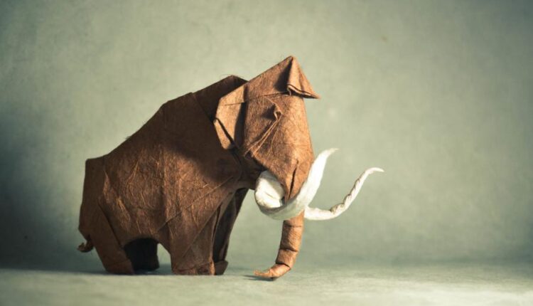 سری هفتاد و پنجم تصویر زمینه برای دسکتاپ   Beautiful Wallpapers