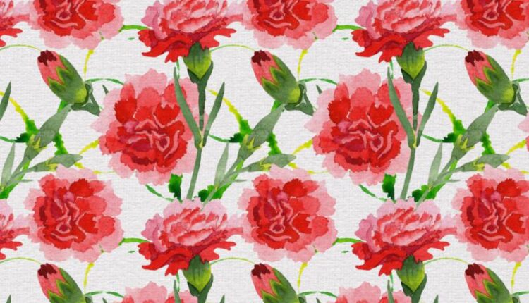 تصاویر PNG تصویرسازی شده گل های آبرنگی قرمز   Red Flowers