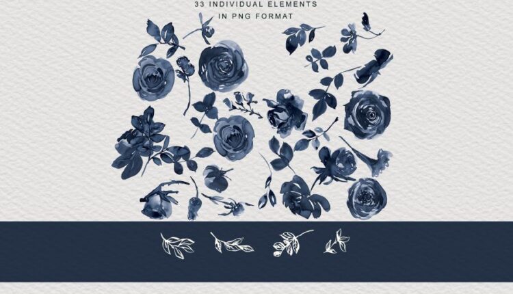 تصاویر png گل های رز آبرنگی   Watercolor Rose Clipart