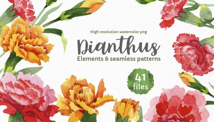 تصاویر PNG تصویرسازی شده گل های آبرنگی قرمز   Red Flowers