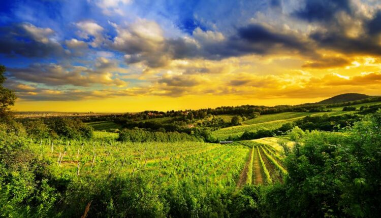 سری هفتاد و سوم عکس زمینه برای دسکتاپ   Beautiful Wallpapers