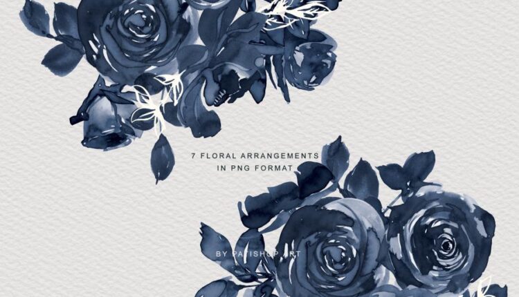 تصاویر png گل های رز آبرنگی   Watercolor Rose Clipart