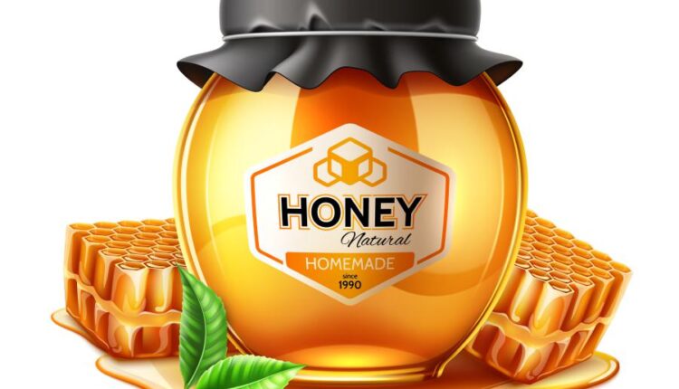 16 وکتور سه بعدی عسل و زنبور عسل   Bee & Honey Vector