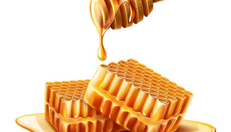 16 وکتور سه بعدی عسل و زنبور عسل   Bee & Honey Vector