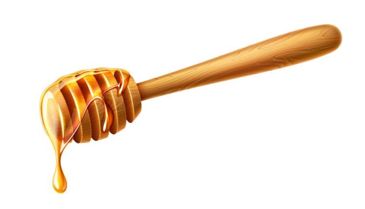 16 وکتور سه بعدی عسل و زنبور عسل   Bee & Honey Vector