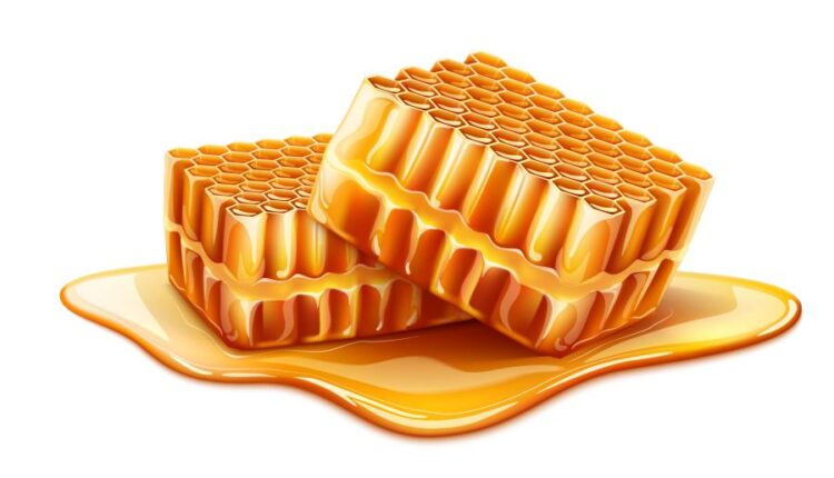 16 وکتور سه بعدی عسل و زنبور عسل   Bee & Honey Vector