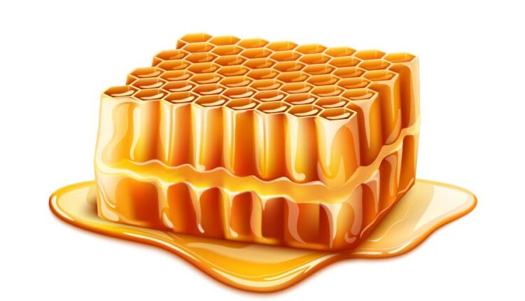 16 وکتور سه بعدی عسل و زنبور عسل   Bee & Honey Vector