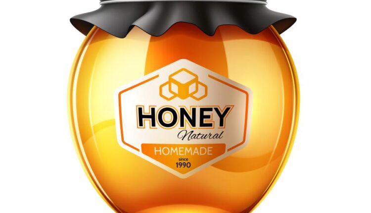 16 وکتور سه بعدی عسل و زنبور عسل   Bee & Honey Vector