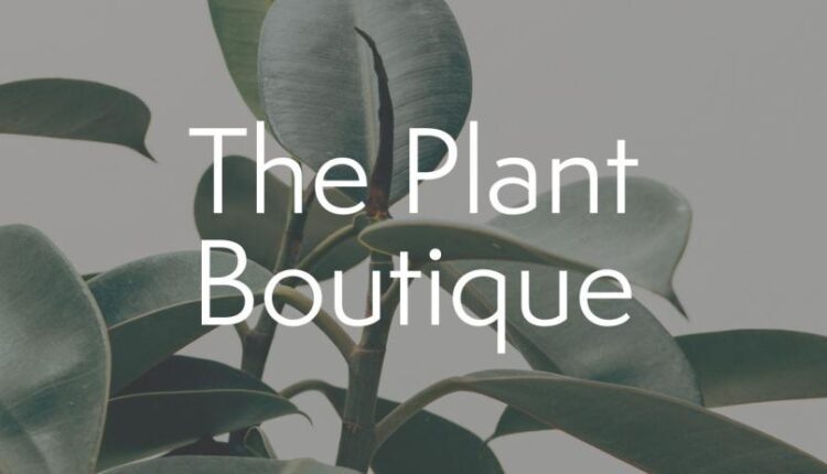موکاپ برندینگ در فضایی بسیار جذاب   Branding Mockup
