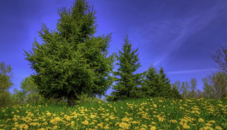 سری هشتاد و یکم عکس زمینه برای موبایل   Beautiful Wallpapers