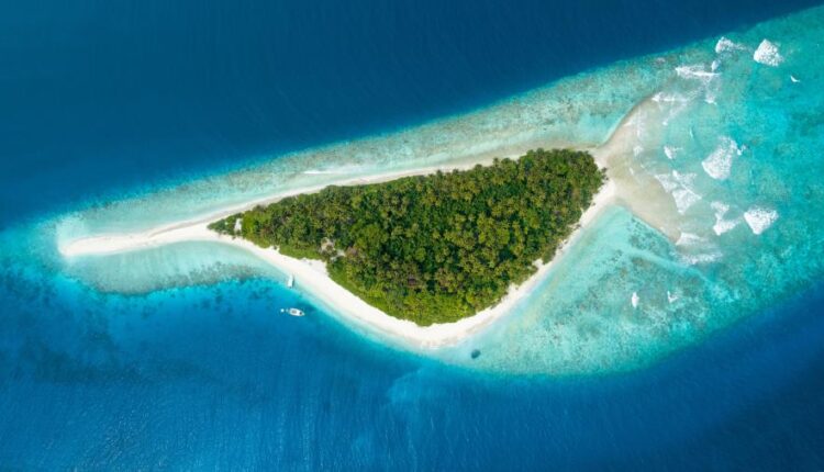 سری هشتاد و یکم عکس زمینه برای موبایل   Beautiful Wallpapers