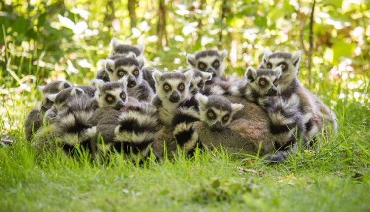 سری هشتاد و یکم عکس زمینه برای موبایل   Beautiful Wallpapers