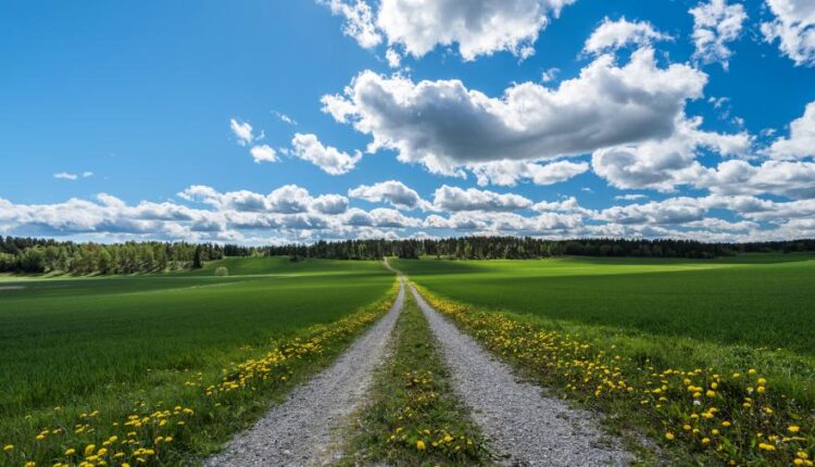 سری هشتاد و یکم عکس زمینه برای موبایل   Beautiful Wallpapers