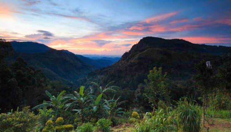 سری هشتاد و یکم عکس زمینه برای موبایل   Beautiful Wallpapers