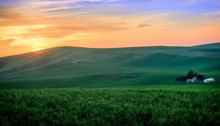 سری هشتاد و یکم عکس زمینه برای موبایل   Beautiful Wallpapers