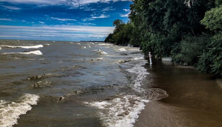 سری هفتاد و هفتم بک گراند برای دسکتاپ   Beautiful Wallpapers