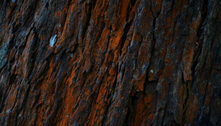 سری هفتاد و هفتم بک گراند برای دسکتاپ   Beautiful Wallpapers