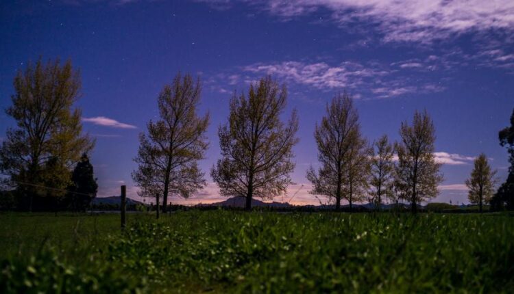 سری هفتاد و هفتم بک گراند برای دسکتاپ   Beautiful Wallpapers