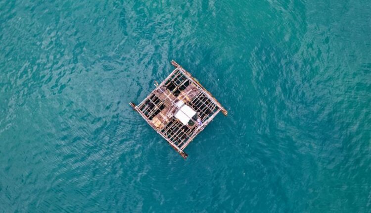 سری هفتاد و هفتم بک گراند برای دسکتاپ   Beautiful Wallpapers